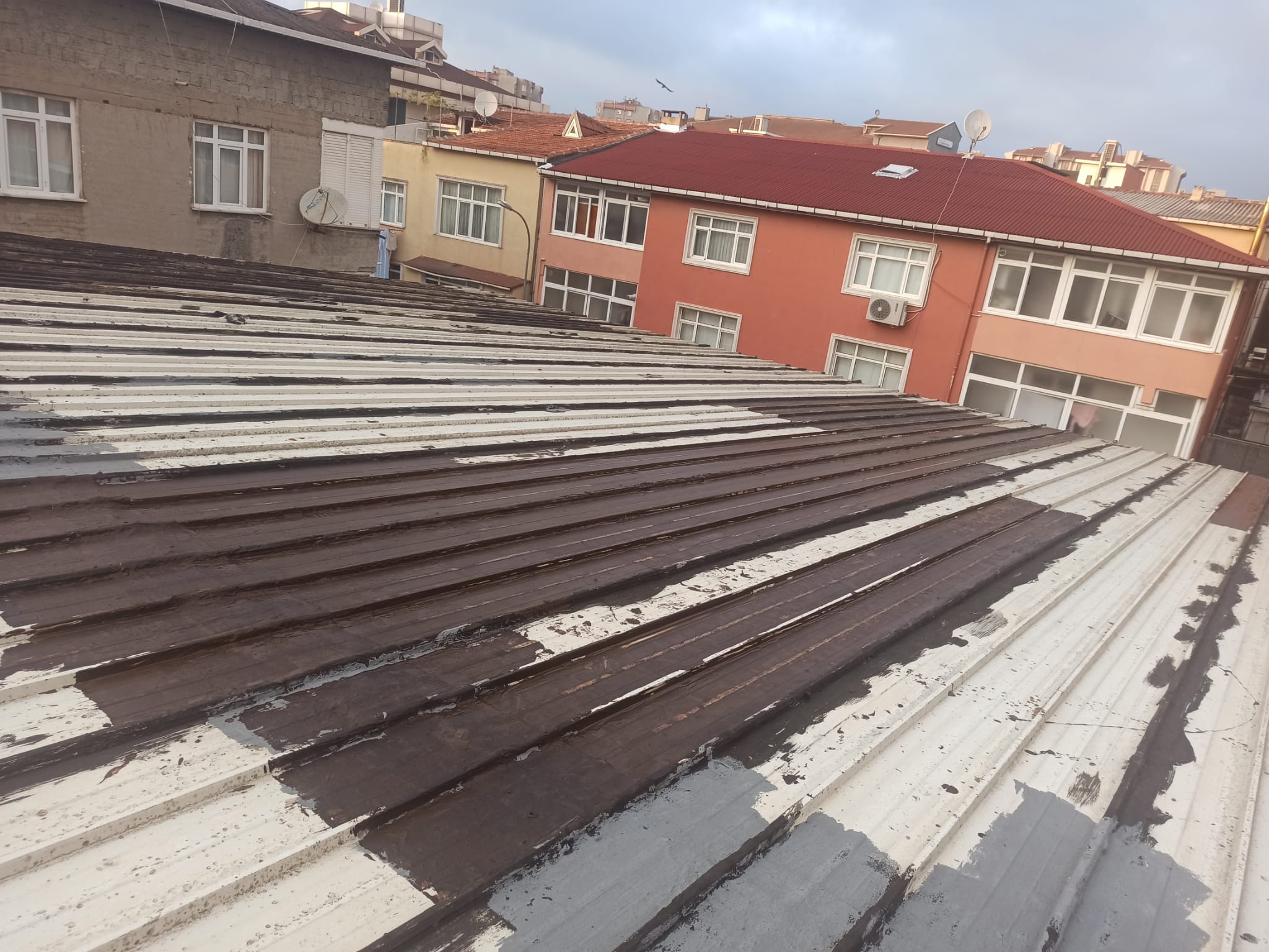 Pryapi Arşiv Görseli