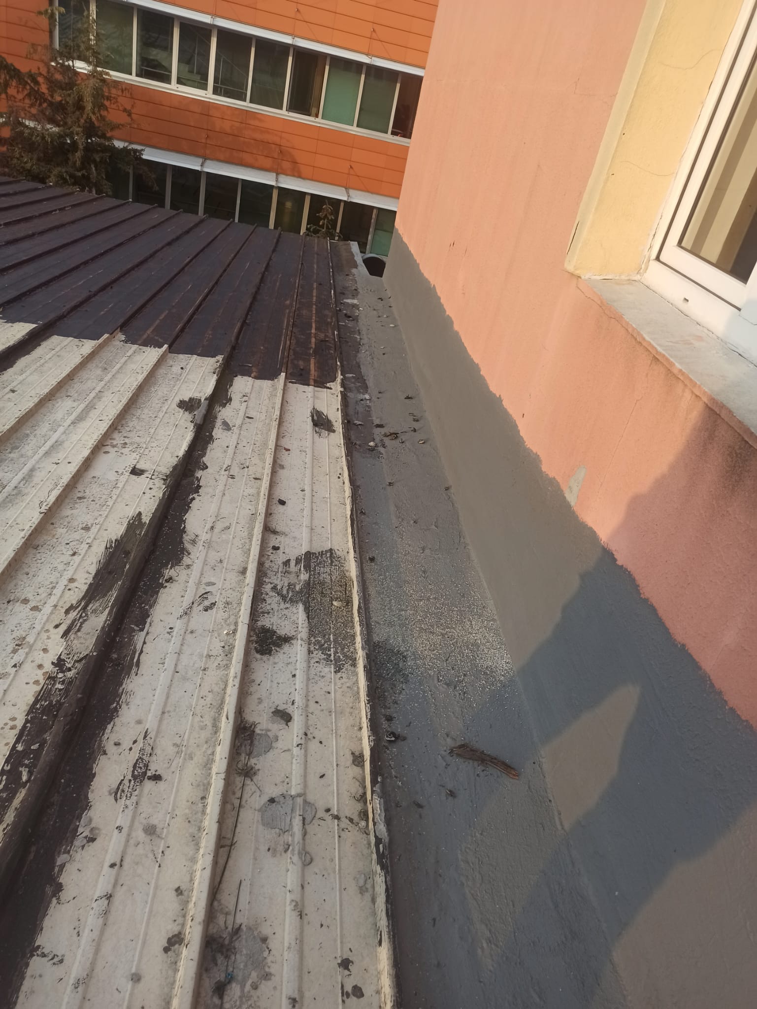 Pryapi Arşiv Görseli