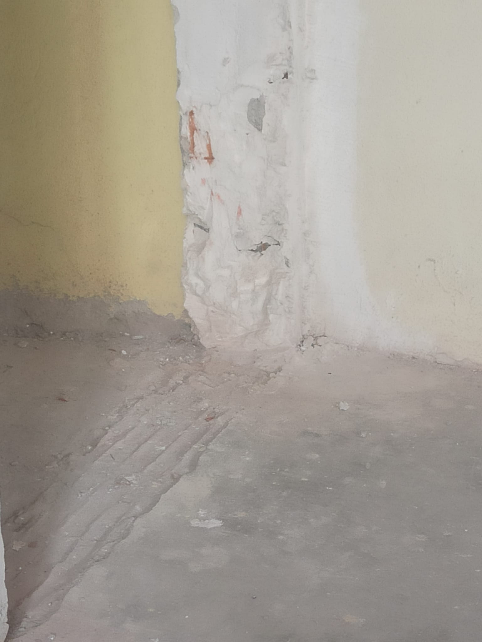 Pryapi Arşiv Görseli