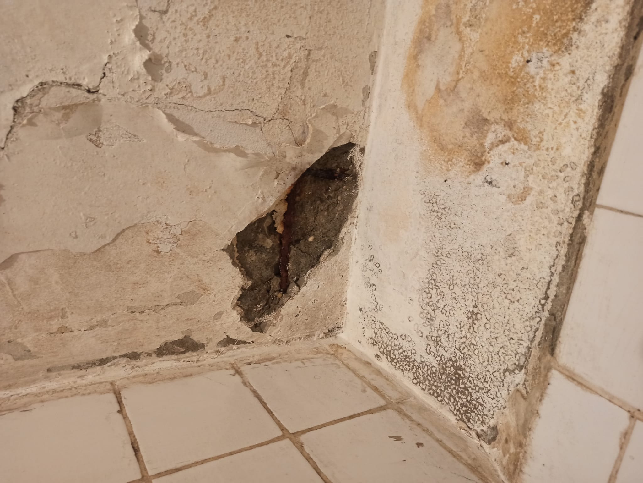 Pryapi Arşiv Görseli
