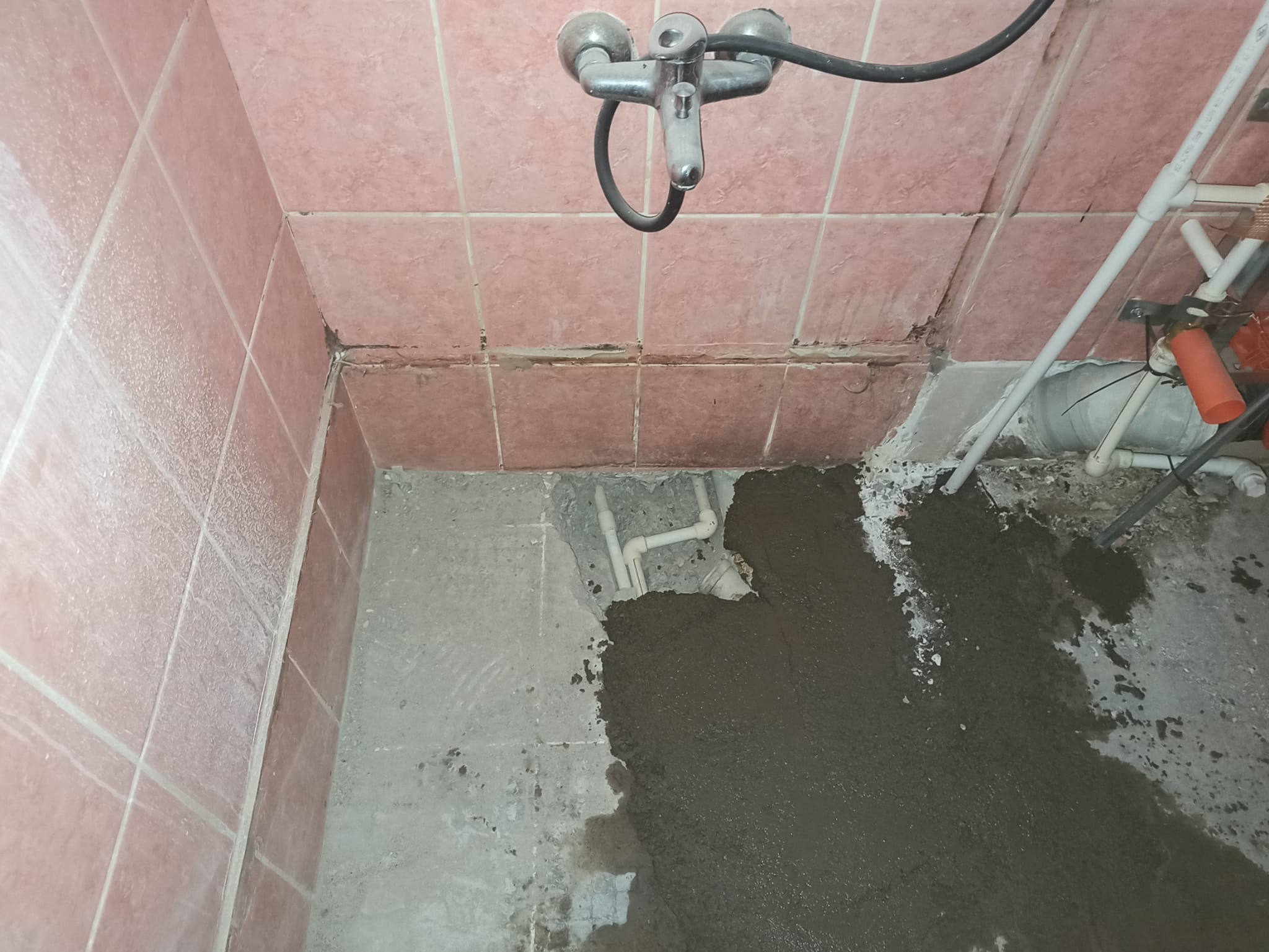 Pryapi Arşiv Görseli