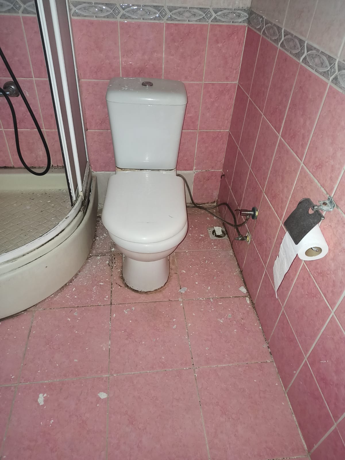 Pryapi Arşiv Görseli