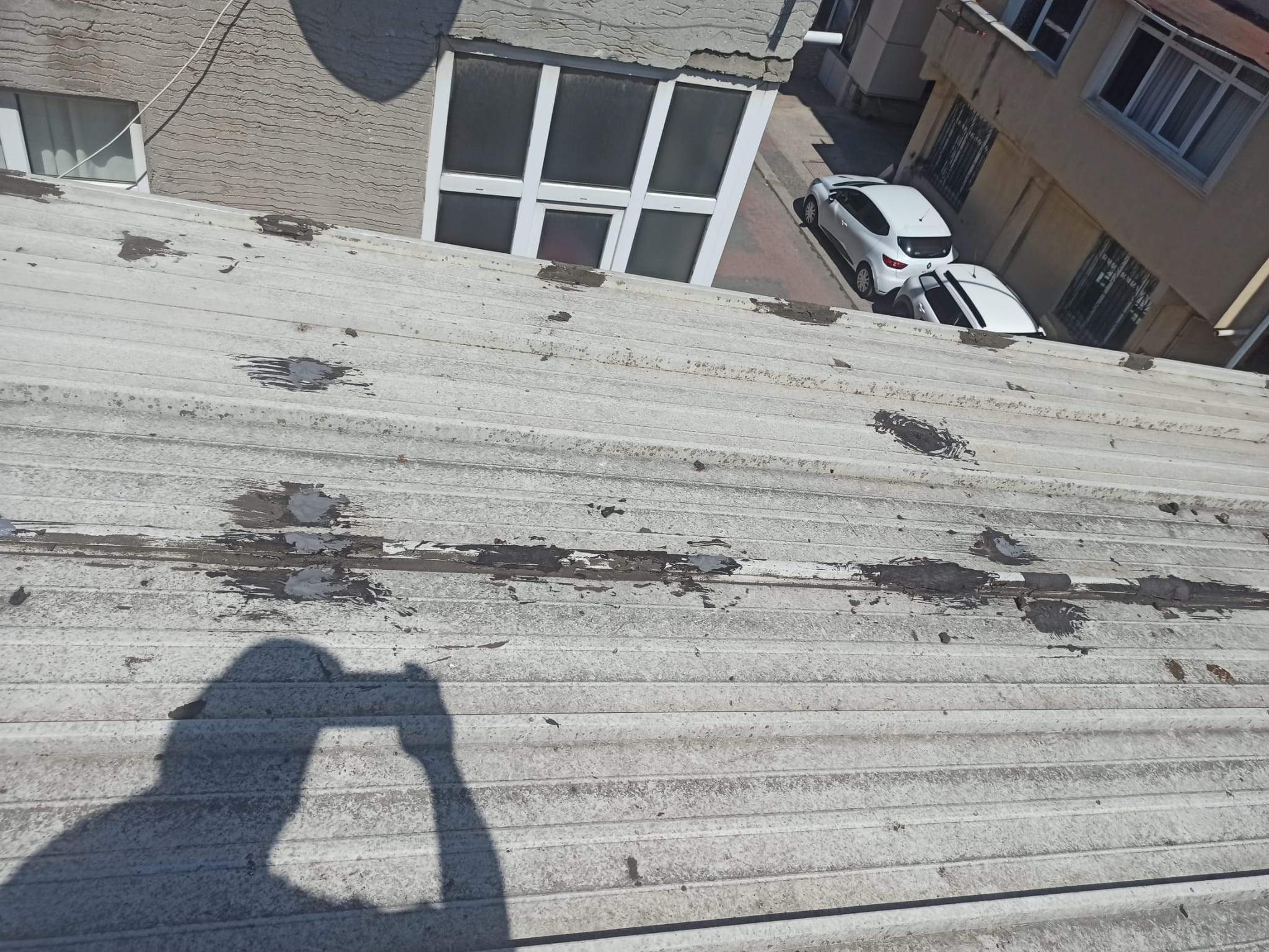 Pryapi Arşiv Görseli