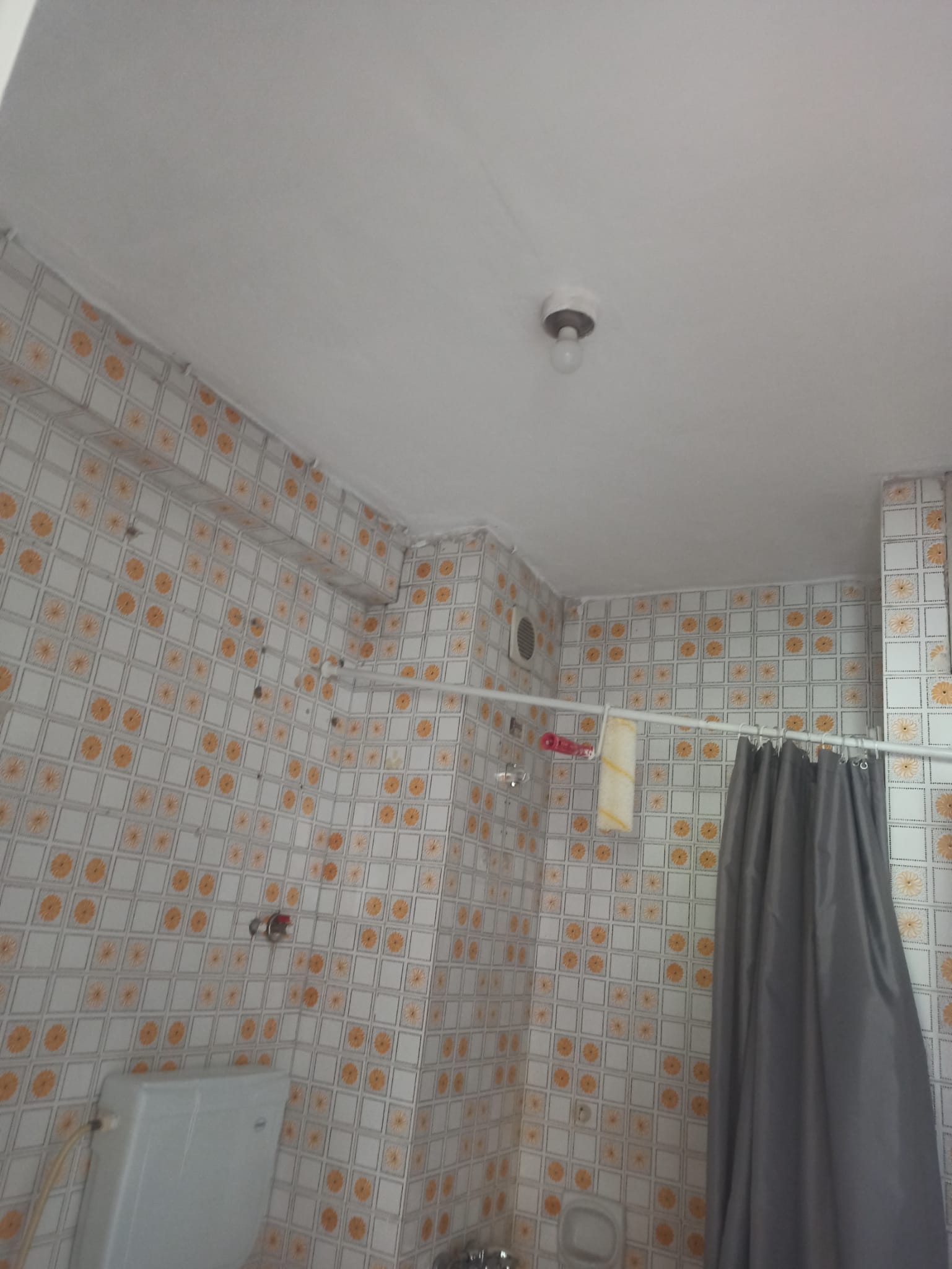 Pryapi Arşiv Görseli