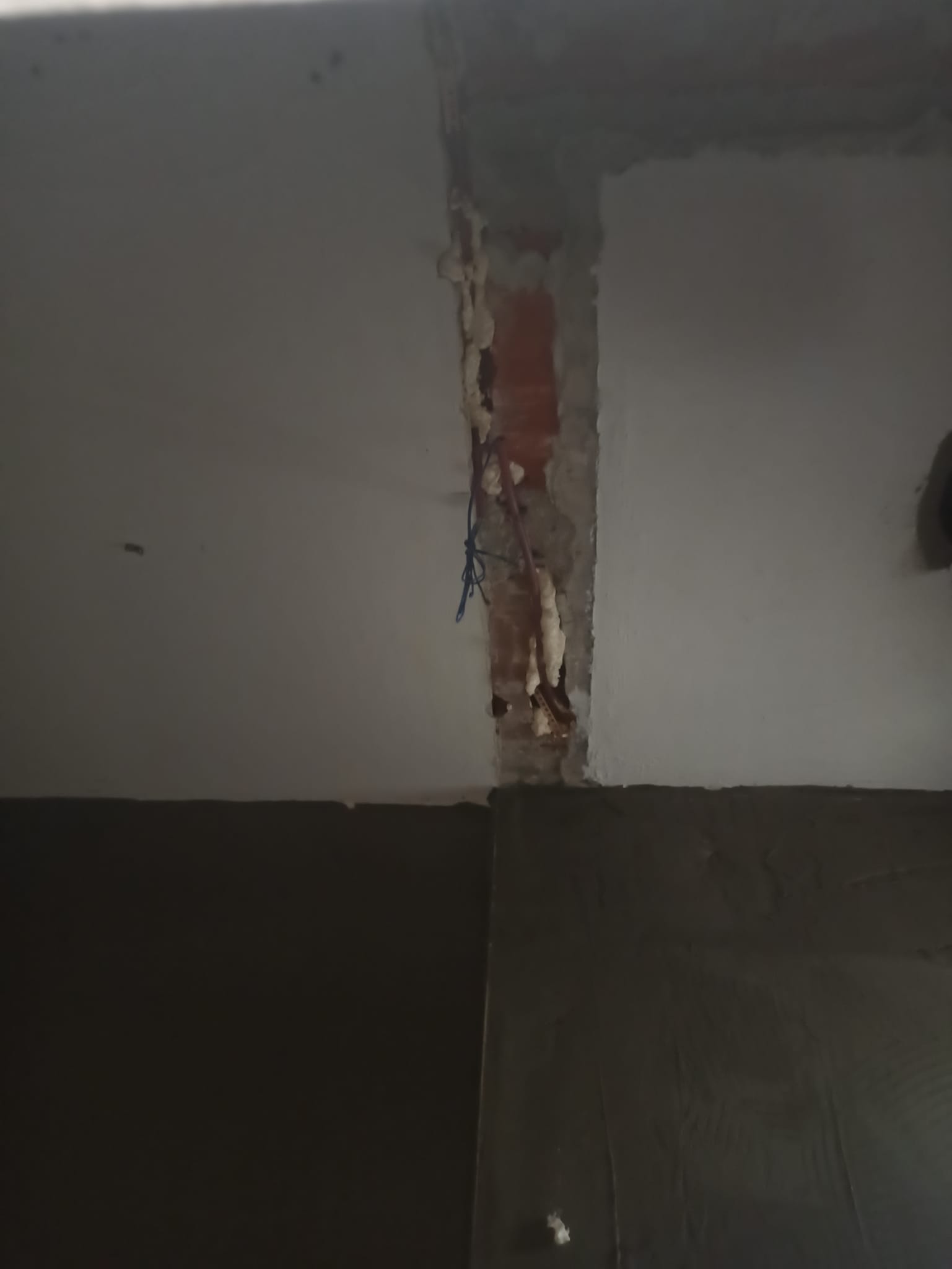 Pryapi Arşiv Görseli