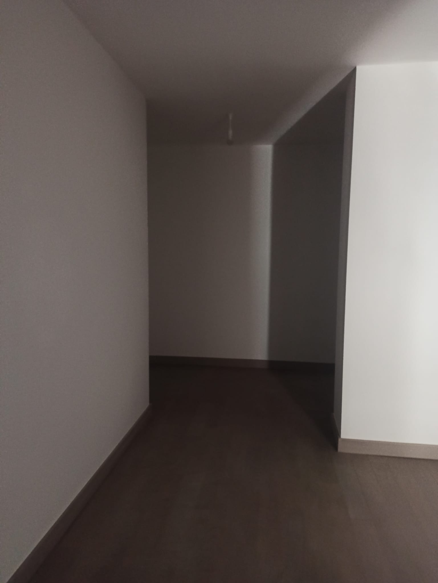 Pryapi Arşiv Görseli
